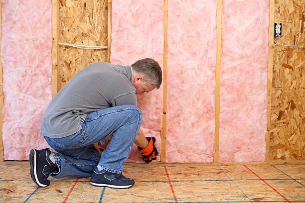 Best Geographic-Specific Insulation Services in Memphis, TX