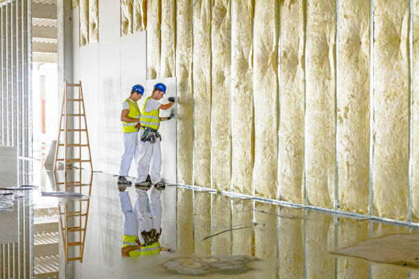 Best Energy Efficiency Insulation in Memphis, TX